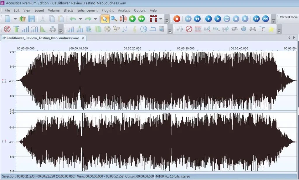 Wave file Processed by Neo Loudness